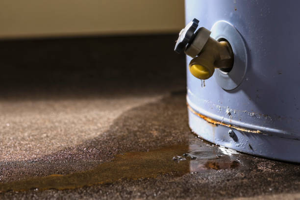 Best Water damage restoration near me  in Bnchard, LA