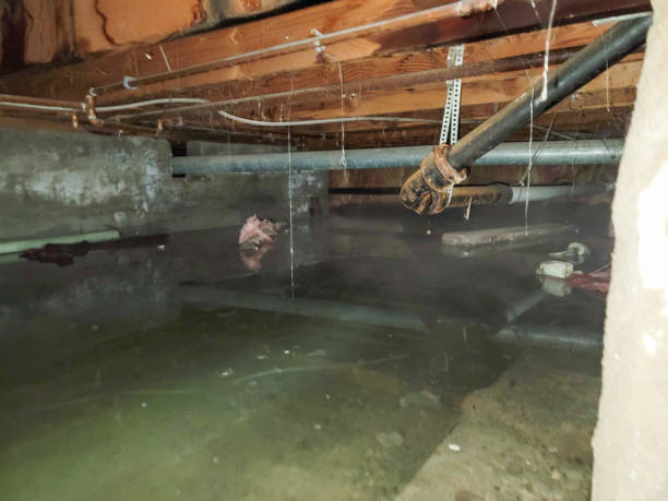 Best Water damage restoration near me  in Bnchard, LA