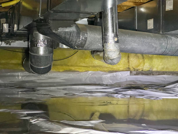 Best Ceiling water damage repair  in Bnchard, LA